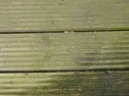 The Slip Resistance Of Timber Decking